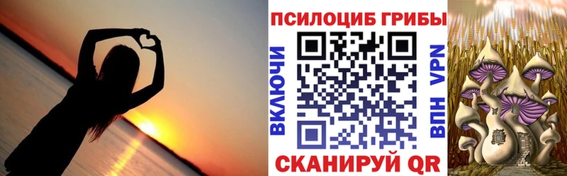Галлюциногенные грибы мицелий  купить  цена  Никольское 
